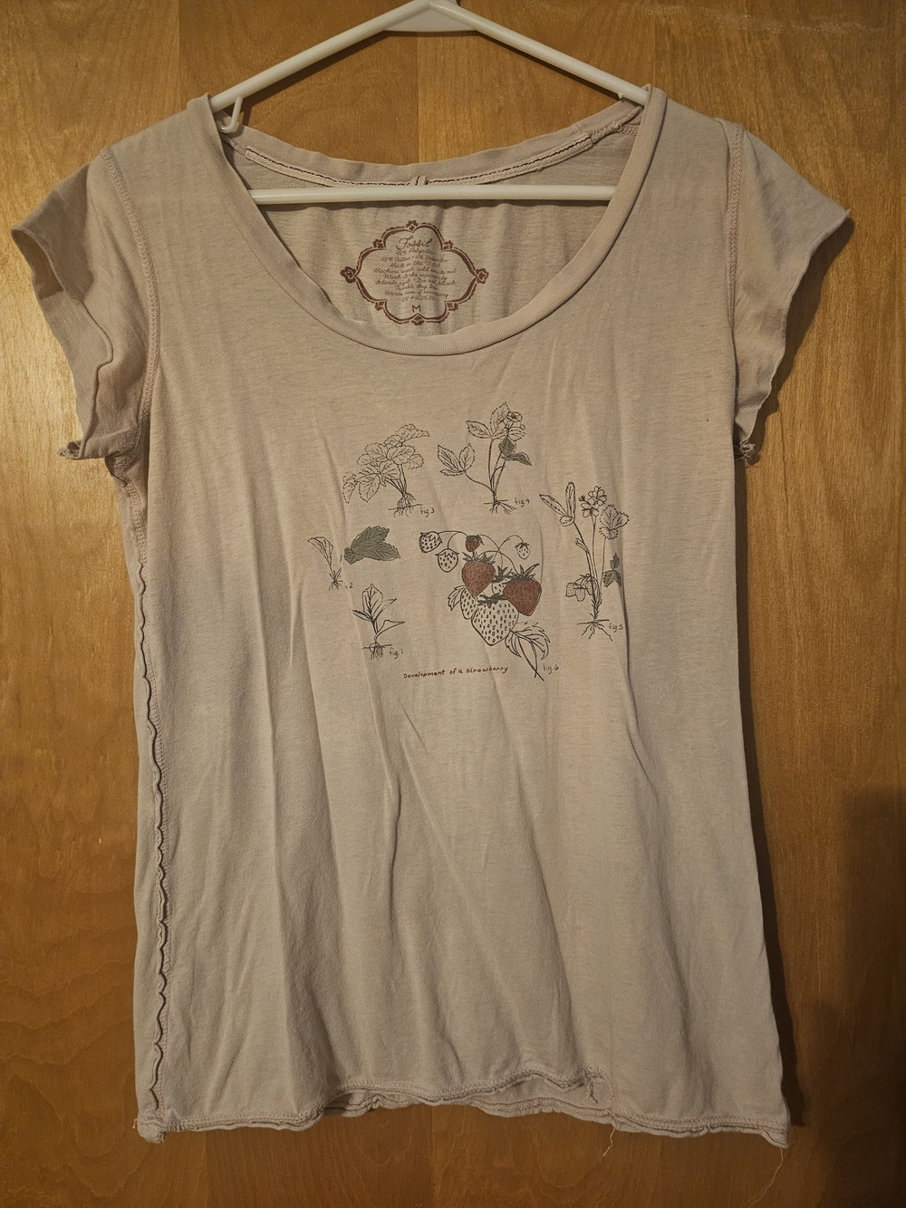 Fossil Pale Pink Botanical Strawberry Graphic Tee